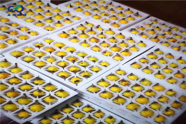 枇杷內托定做的材料只有防震的作用嗎？