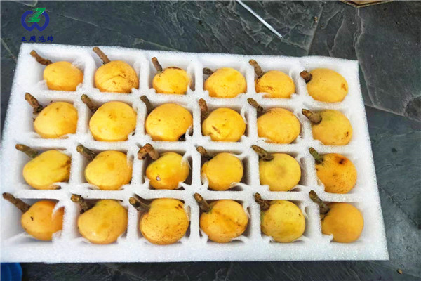 枇杷內托的制作材料對人體有害嗎？