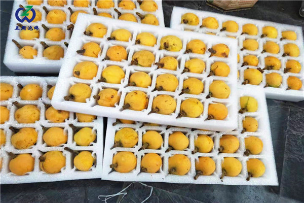 枇杷內托 枇杷內托